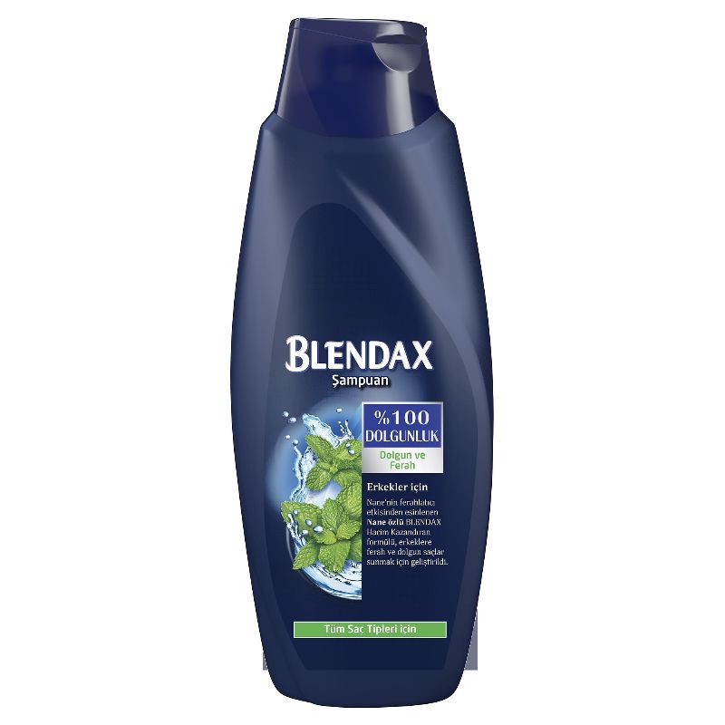 BLENDAX ERKEKLER ICIN MENTOLLU SAMPUAN 500 ML