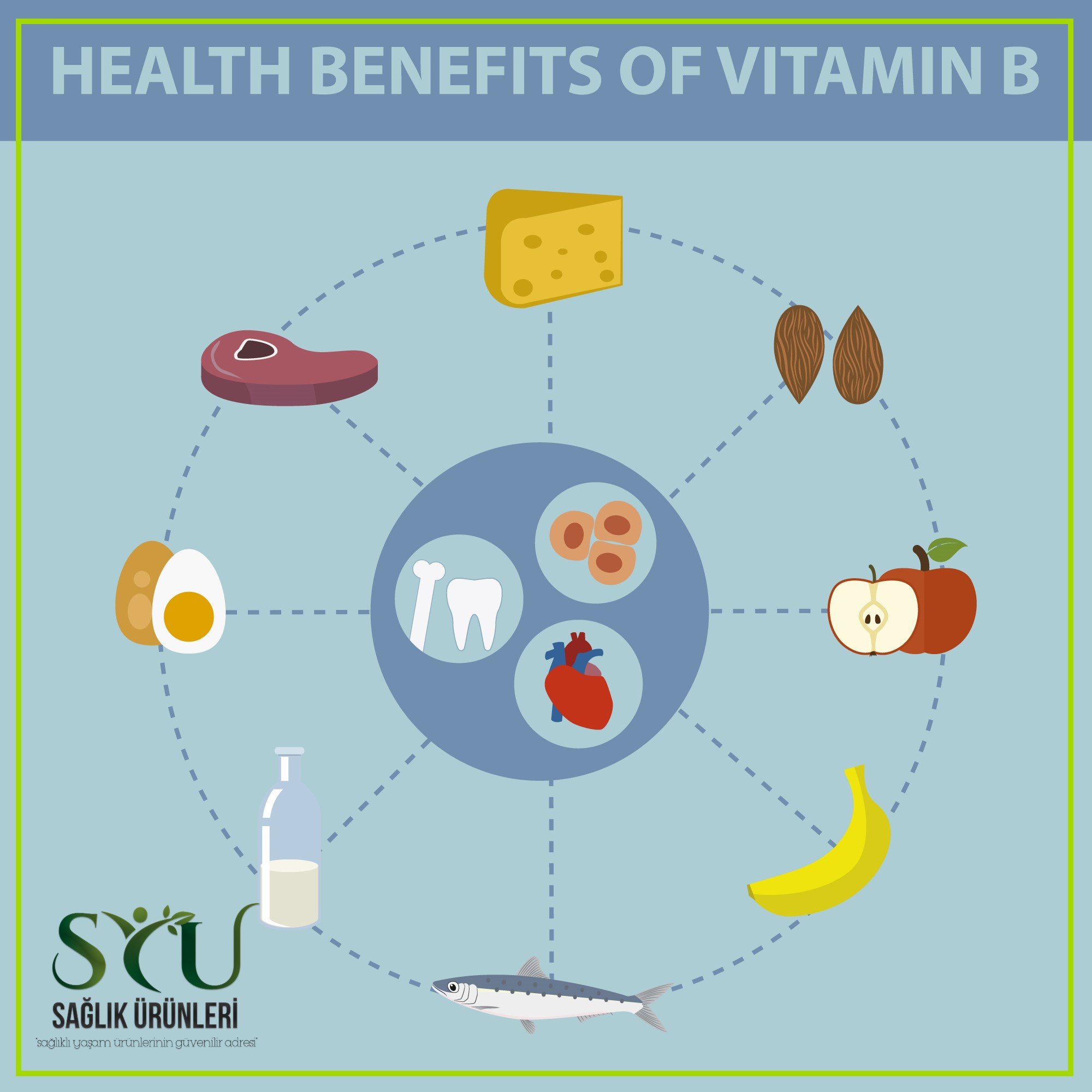 b12,b12 vitamini