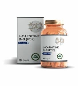 Antı L-Carnıtıne 100 Kapsul