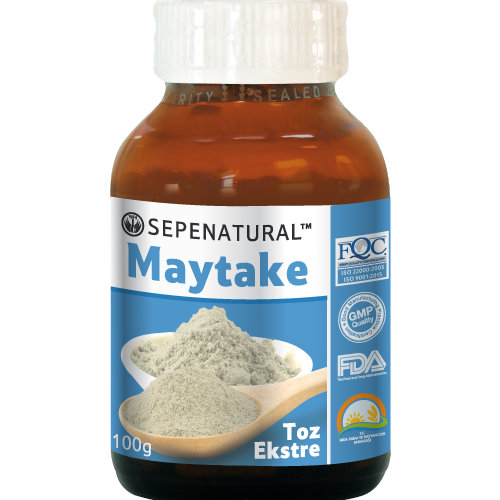 Maytake Mantar Ekstresi Toz Ekstrakt 100 gr Maitake Extract
