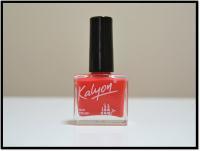 OJE KALYON NO: 218 NAR CICEGI