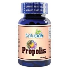 Propolis Ekstraktı 120 Kapsül x 380 mg