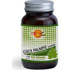 Force Nutrition Saw Palmetto 540 mg 120 Tablet