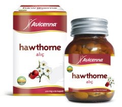 Avicenna Howthorne Alic