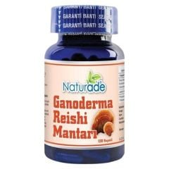 Reishi Mantarı Ekstrakt 120 Kapsül x 380 mg