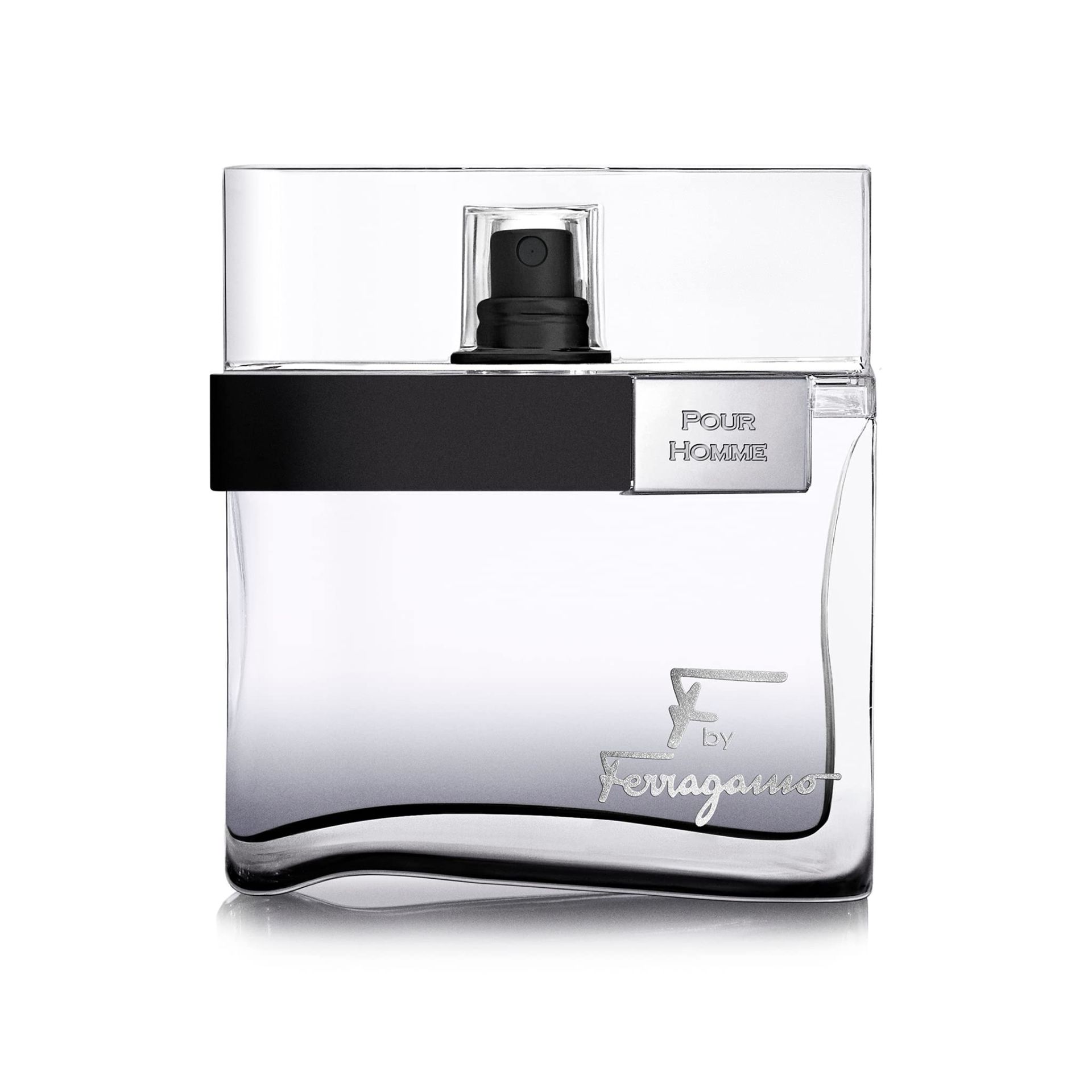 Salvatore Ferragamo F Black Pour Homme EDT 100 ml