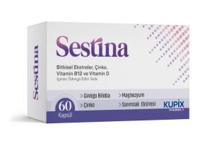 SESTINA 60 KAP
