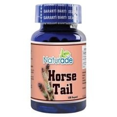 Horsetail Ekstrakt 120 Kapsül x 530 mg