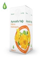 AYNISEFA YAGI GEBECE