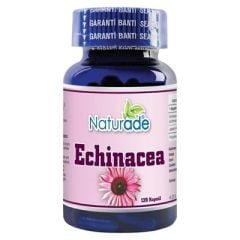 Ekinezya Ekstrakt 120 Kapsül x 530 mg