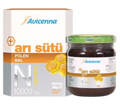 Avicenna Arisutu Ginsengli 230