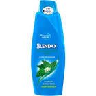 Blendax Isırgan Özlü Şampuan 500 ml