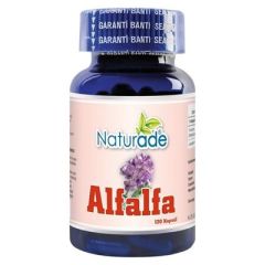 Alfalfa 120 Kapsül x 430 mg