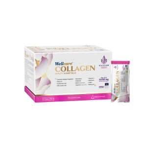 WELLCARE KOLLAJEN KARPUZ AROMALI 30 SASE