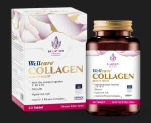 WELLCARE KOLAJEN CILT 1250 MG 60 TABLET