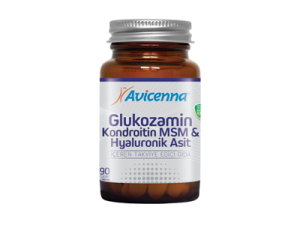 Avicenna Glucosamine MSM 90 Tablet