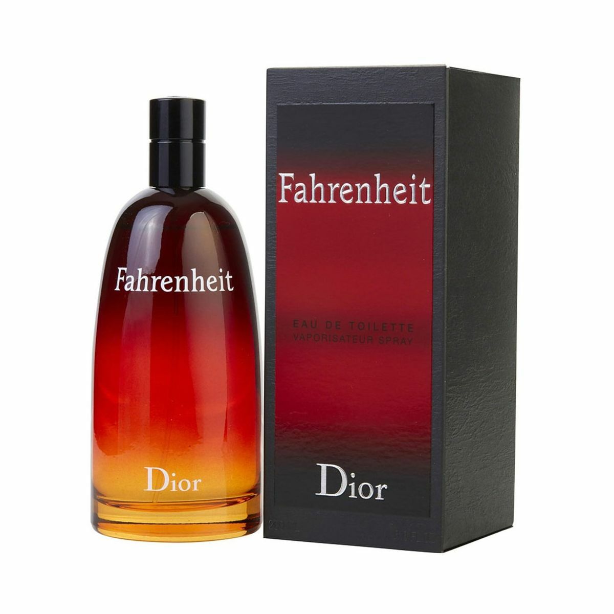 Dior Fahrenheit Erkek Parfüm Seti EDT 100 ml