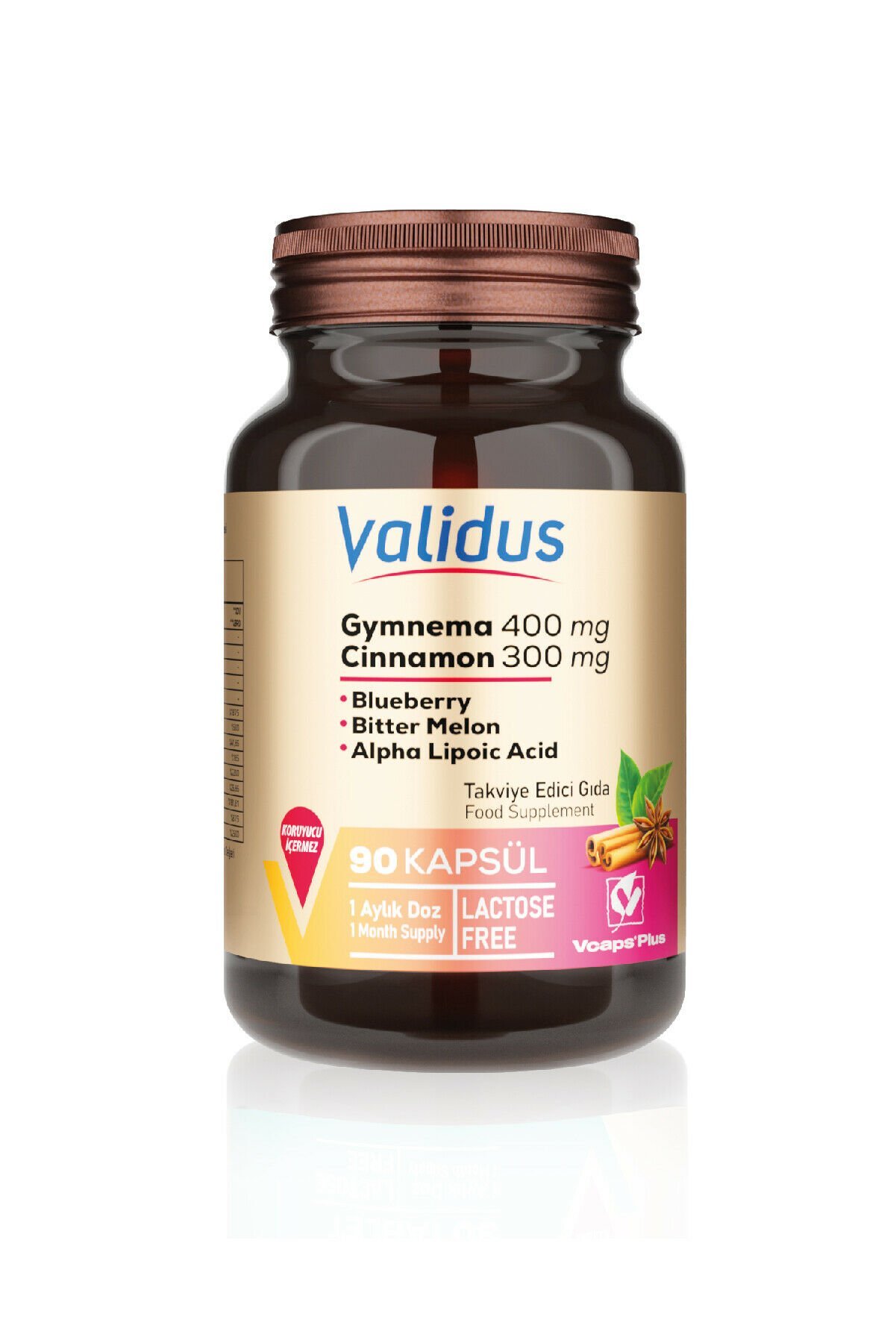 Validus Gymnema Sylvestre 400 mg + Cinnamon 300 mg 90 Kapsül
