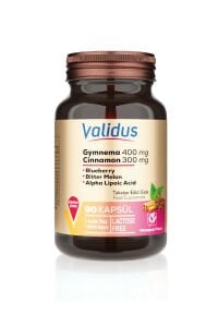 Validus Gymnema Sylvestre 400 mg + Cinnamon 300 mg 90 Kapsül