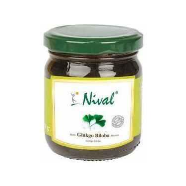 Nivalis Ballı Ginko Biloba Macunu 240 gr