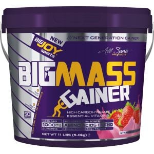 BigJoy Sports Bigmass Gainer Çilek Aromalı 5 kg