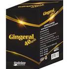 Gingeral 40 Kapsül
