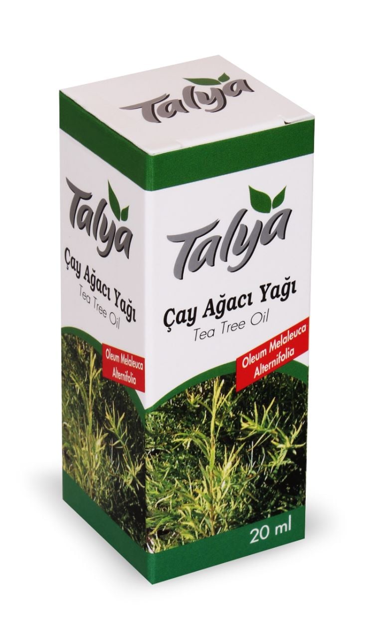 CAY AGACI YAGI TALYA 20 CC