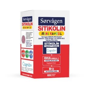 SORVAGEN MINI KAPSUL SITIKOLIN