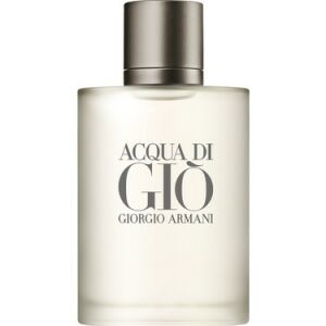 Giorgio Armani Acqua Di Gio Erkek Parfüm EDT 100 ml