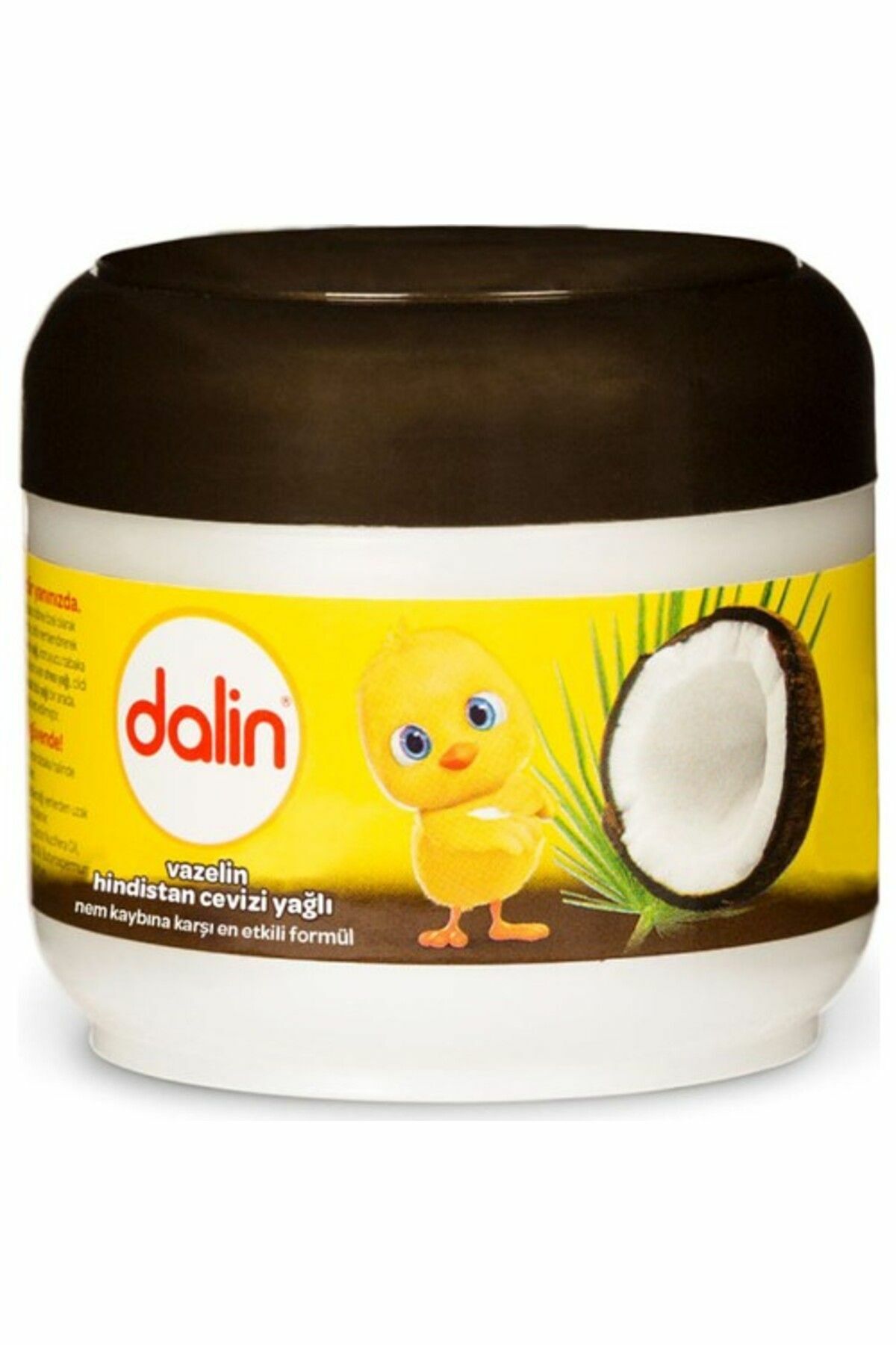 Dalin Vazelin Hindistan Cevizli 100 ml
