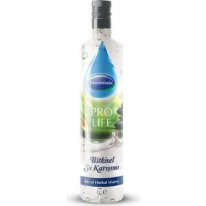 Mecitefendi Pro Life Su 750 ml