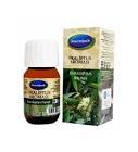 Mecitefendi Okaliptus Aroması 20 ml