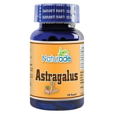 Astragalus Ekstrakt 120 Kapsül x 430 mg
