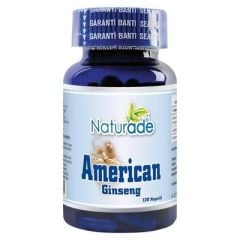 Amerikan Ginseng Kök Ekstraktı 120 Kapsül x 480 mg
