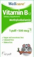 WELLCARE VITAMIN B12 SPR 500 MCG 5 ML