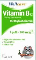 WELLCARE VITAMIN B12 SPR 500 MCG 5 ML