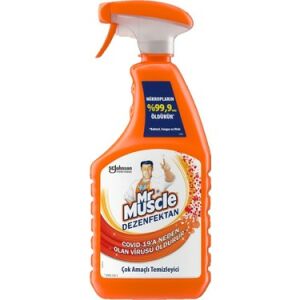 Mr. Muscle Yüzey Dezenfektanı 750 ml