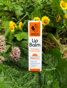 Meleys Lip Balm Dudak Bakım Kremi 10 ml