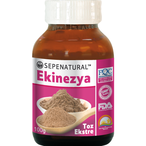 Toz Ekinezya Ekstresi 100 gr Echinace Extract Powder