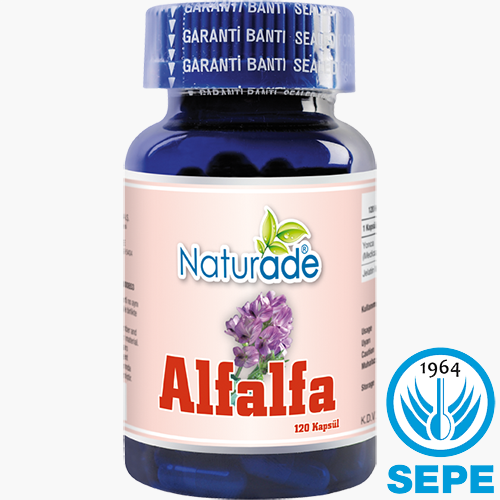 Alfalfa Extract Kapsül 120 x 430 mg Yonca Ekstrakt Ekstresi
