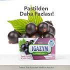 Igazym Frenk Uzum Ve Nane Bogaz Pastılı