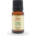 Qatre Premium Okaliptus Uçucu Yağı 10 ml