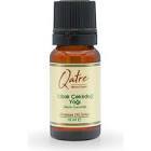 Qatre Premium Kabak Çekirdeği Yağı 10 ml
