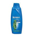 Blendax Isırgan Özlü Şampuan 650 ml
