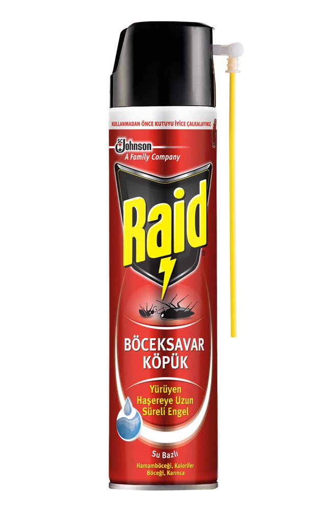 Raid Hamam Böceği ve Karıncalara Karşı Köpük 400 ml