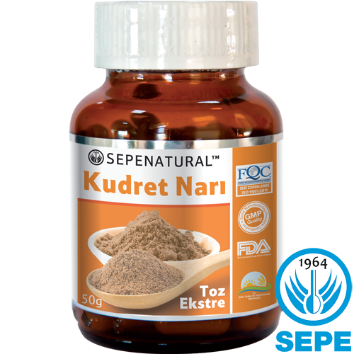 Kudret Narı Ekstresi Toz Ekstrakt 50 gr Bitter Melon Extract