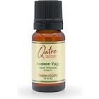 Qatre Premium Anason Yağı 10 ml