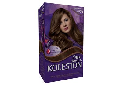 Koleston Set Boya  6/73 Ayişiği Kahvesi