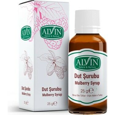 Alvin Dut Şurubu 25 gr