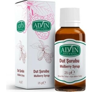 Alvin Dut Şurubu 25 gr